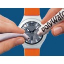 PolyWatch