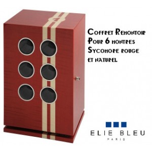 Elie Bleu - 6 watches winder